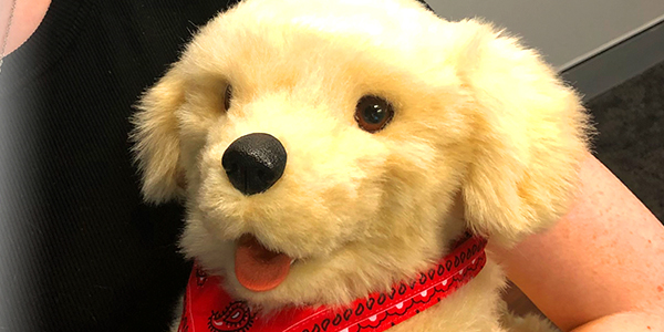 Dementia dog toy sale